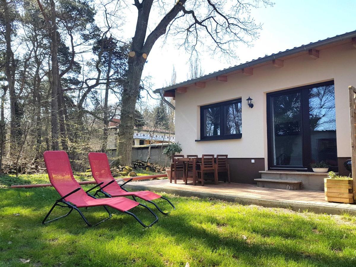 Apartment Waldblick Vom Naturhof Usedom Bannemin Exterior photo